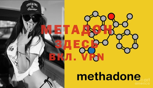PSILOCYBIN Нязепетровск