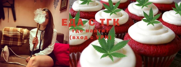 индика Новокубанск