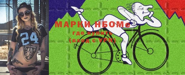 индика Новокубанск