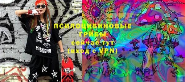 индика Новокубанск