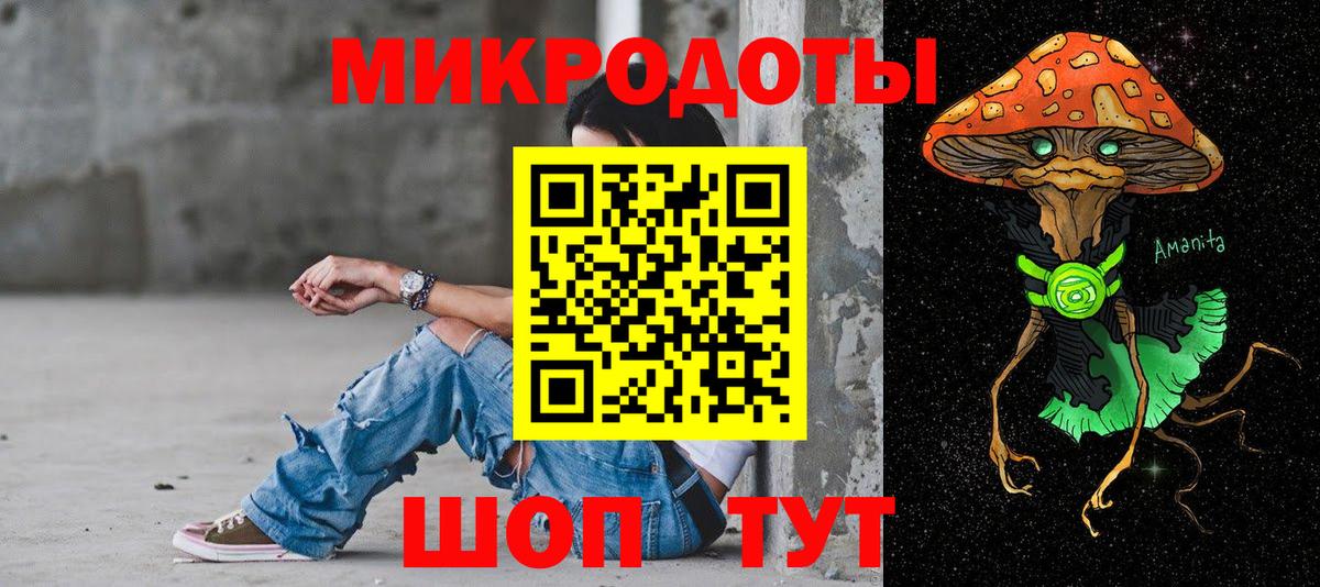 Псилоцибиновые грибы Psilocybe Белгород