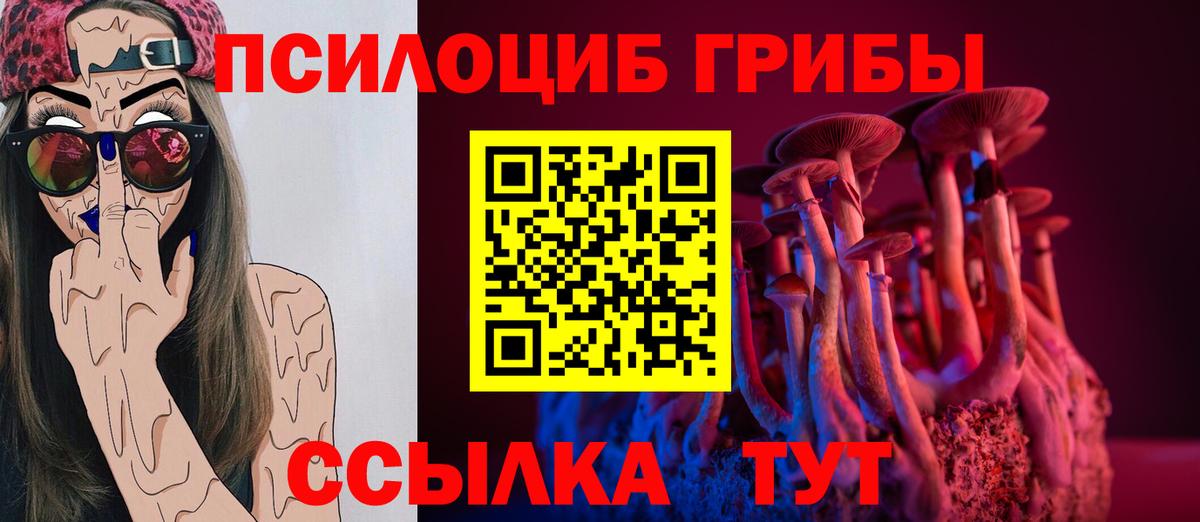 Галлюциногенные грибы GOLDEN TEACHER  Белгород 