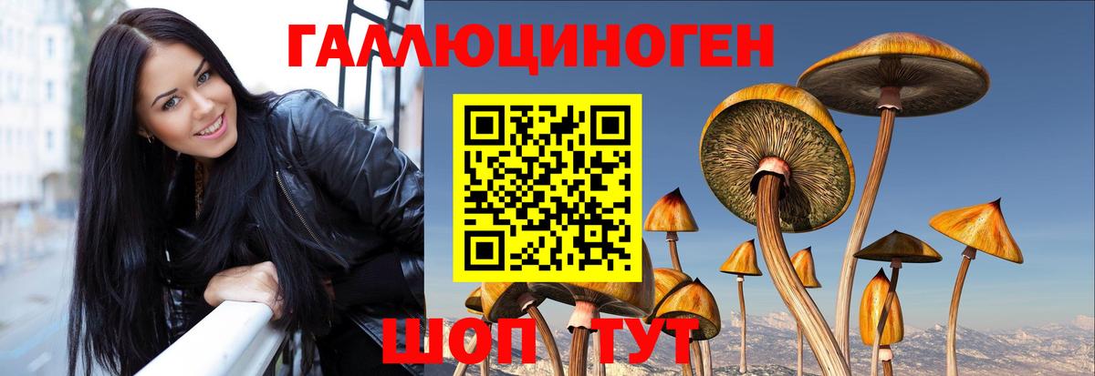 Псилоцибиновые грибы ЛСД Белгород