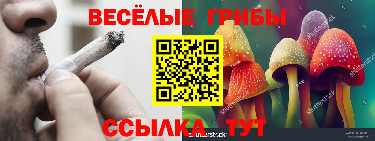 Галлюциногенные грибы Magic Shrooms  Псилоцибиновые грибы прущие грибы  Вход с VPN  Белгород 